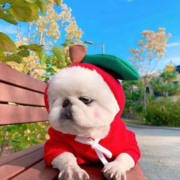 Cute Fruit Dog Clothes For Small Dogs Hoodies Winter Warm Fleece Pet Clothing Puppy Cat Costume Coat For French Chihuahua Outfit - Image 9